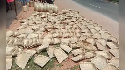 Chhath Puja की तैयारी शुरू, बाजार में पहुंच रहा है बांस का सूप और दउरा, पिछले वर्ष से इतना कम है दाम