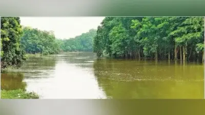 दरभंगा के पश्चिमी भाग के नये इलाके में तेज रफ्तार से फैल रहा बागमती नदी का पानी