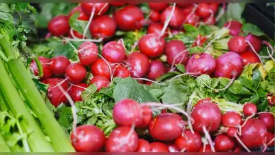 Health Tips: सेहत से भरपूर होते हैं Sprout, शुगर को भी करते हैं कंट्रोल, मूंग-सोयाबीन को ऐसे बनाएं सुपर हेल्दी