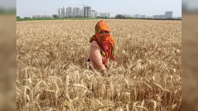 PM Kisan Updates: किसानों के पास केवल दस दिन, जल्द करें ये काम नहीं तो अटक जाएगा पैसा