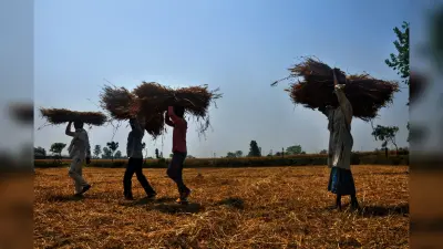 PM Kisan: जानें कब आ सकती है पीएम किसान योजना की 14वीं किस्त, जानें ताजा अपडेट