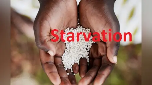 Starvation : हर एक मिनट में भुखमरी से मरते हैं 11 लोग