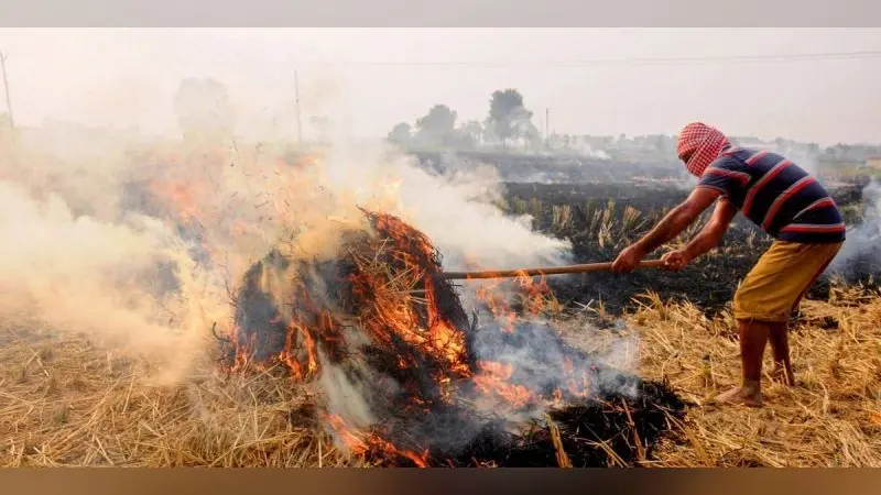 यूपी में पराली जलाने पर बड़ी कार्रवाई, महराजगंज में तीन लेखपाल निलंबित, 10 किसानों को जेल और 28 पर एफआईआर दर्ज
