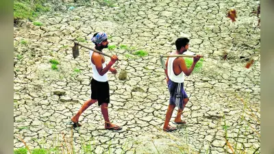 झारखंड में सूखा से राहत के लिए 30 नवंबर तक कर सकते हैं आवेदन, इस दिन खाते में आयेंगे पैसे