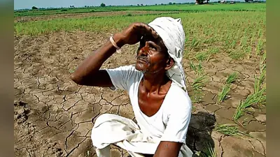 किसानों को डिजिटल फसल सर्वेक्षण से मिलेगा ये लाभ, मुख्य सचिव ने प्रशिक्षण कार्यक्रम में बतायी खूबियां