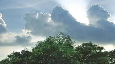 आज से मिल सकती है गर्मी से राहत, तेज हवा के साथ के आसार
