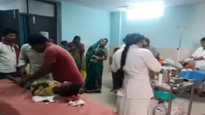 बिहार: आवारा कुत्तों का आतंक, नौ बच्चे समेत दो दर्जन से अधिक लोगों को काट कर किया जख्मी