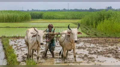 Aligarh News: स्वामित्व योजना में अलीगढ़ के 173 गांव, लिस्ट में देखें अपने गांव का नाम, मिलेगा ये फायदा