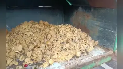 झारखंड : सिंथेटिक पेड़ा से रहें सावधान, बासुकीनाथ में 200 किलो नकली पेड़ा जब्त