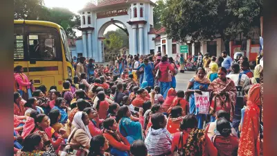 झारखंड की धरोहर टैगोर हिल काटे जाने के मामले में जिला प्रशासन की खुली नींद, DC ने सीओ से मांगी रिपोर्ट