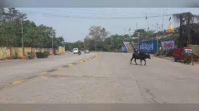 Janata Curfew Jharkhand LIVE : पीएम मोदी के ‘जनता कर्फ्यू’ को झारखंड में मिल रहा पूरा समर्थन, सड़कों पर सन्नाटा पसरा