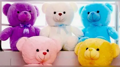 Teddy Day 2022: आज है टेडी डे, पार्टनर को गिफ्ट करने से पहले जान लें टेडी बियर के हर रंग का महत्व