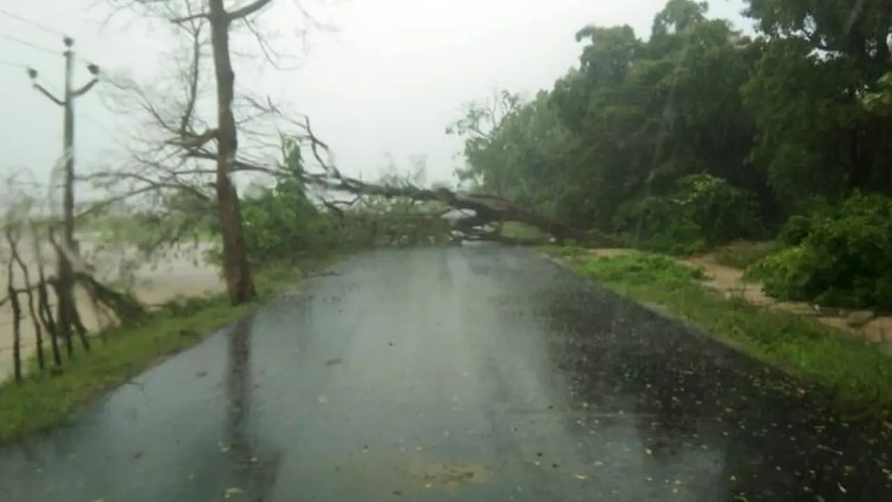 Odisha Weather Update: IMD ने ओडिशा के 7 जिलों में जारी किया रेड अलर्ट, महानदी के इलाकों में बाढ़ का खतरा