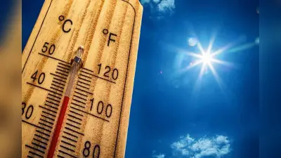 Aligarh News: अलीगढ़ में जैपेनीज इंसेफेलाइटिस बुखार से बच्चे की मौत, जानें क्या हैं लक्षण