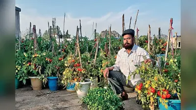 झारखंड के लोगों में बढ़ रहा है टेरेस गार्डन का चलन, अंगूर, ब्लूबेरी और ब्लैकबेरी समेत कई चीजों की कर रहे खेती