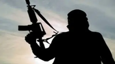 karachi Terrorist Attack: पाकिस्तान के कराची में आतंकी हमला, दो आतंकवादी ढ़ेर