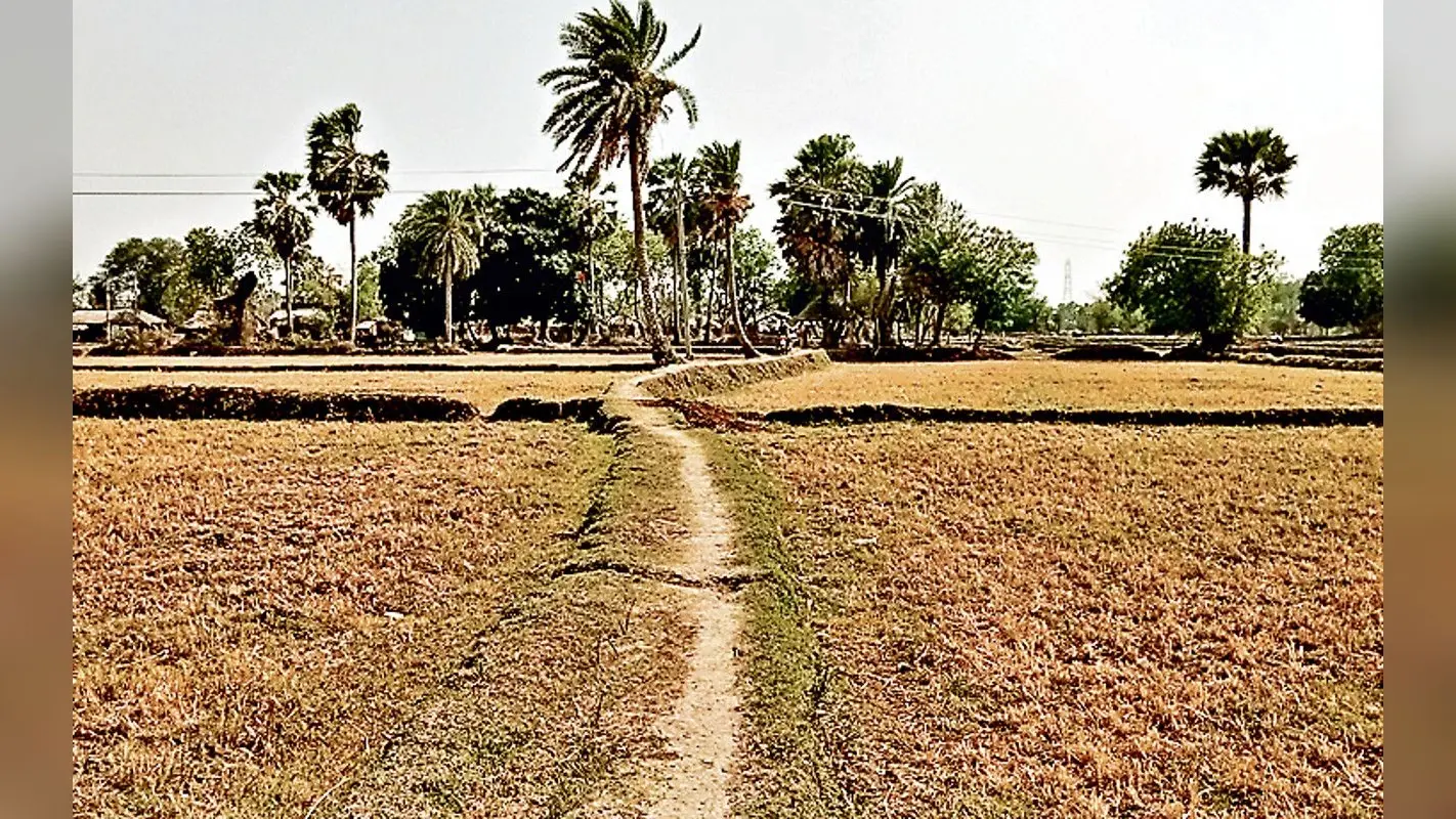 झारखंड का एक ऐसा गांव जहां के ग्रामीण सड़क से नहीं हैं रू-ब-रू, आज भी पगडंडी के सहारे करते हैं आवागमन