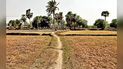 झारखंड का एक ऐसा गांव जहां के ग्रामीण सड़क से नहीं हैं रू-ब-रू, आज भी पगडंडी के सहारे करते हैं आवागमन