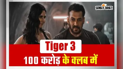 Tiger 3 Box Office Collection Day 2: सलमान खान की फिल्म ने बनाया नया रिकॉर्ड, दूसरे दिन की ताबड़तोड़ कमाई