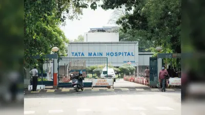 Jamshedpur News: आम तोड़ने के दौरान पेड़ से गिरा किशोर, TMH में चल रहा इलाज