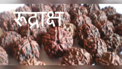 रुद्राक्ष पहनने से चेहरे पर चमक आती है, आत्मविश्वास बढ़ता है, जानें इसके फायदे