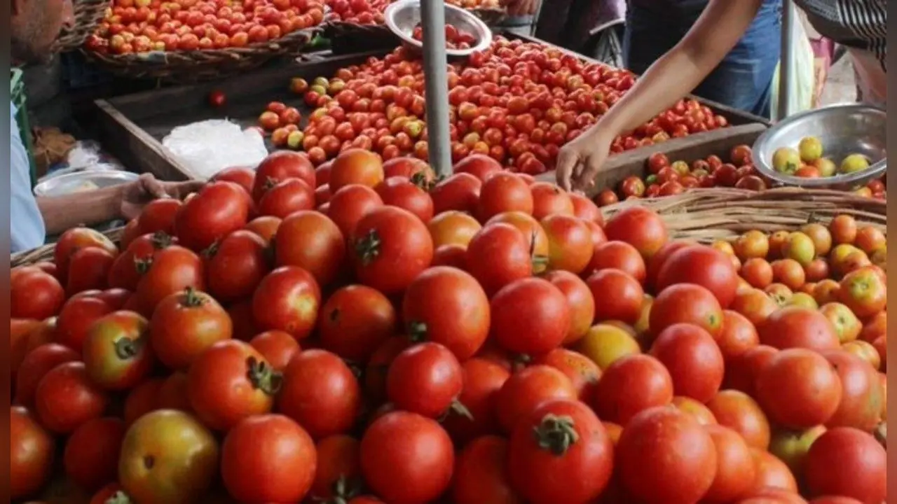 Tomato Price: खुदरा बाजार में आवक बढ़ने से फिर कड़ाही में दिखेगा टमाटर, सरकार ने बतायी ये बड़ी बात