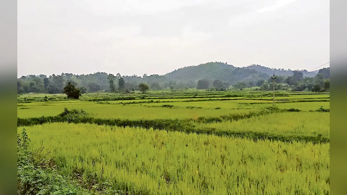 झारखंड : कोल्हान से नक्सलियों को खत्म करने की तैयारी, टोंटो में पहली बार घात लगाकर सुरक्षाबलों पर किया हमला