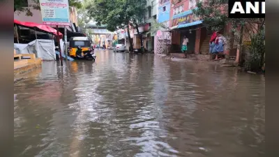 तमिलनाडु में चक्रवात ‘मैंडूस’ ने मचाई तबाही, 50 से अधिक उखड़े पेड़, कई कारें क्षतिग्रस्त, देखें तस्वीरें