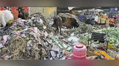 राजधानी पटना में ट्रैफिक सिग्नल पर टाइमर लगाने से बेकार हो गये 2.98 करोड़ के 149 डिटेक्शन कैमरे, जानें पूरा मामला…