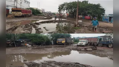 Dengue In Patna : पटना में एक ओर डेंगू का कहर, दूसरी ओर ट्रांसपोर्ट नगर को बना दिया गया कचरा सेंटर