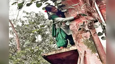 लोहरदगा में छात्राओं के जीवन से खिलवाड़, दीवार पर चढ़ाकर कटवाया पौधा