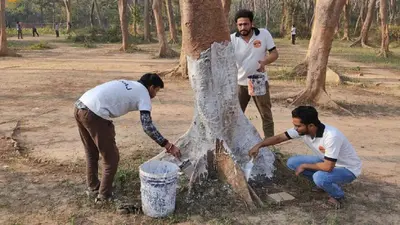 चाईबासा : पांड्राशाली में पेड़ से झूलती मिली बच्ची की लाश