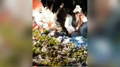 मध्य प्रदेश में ट्रक पलटने से यूपी के पांच मजदूरों की मौत, हैदराबाद से चोरी छिपे आम लदे ट्रक से लौट रहे थे घर