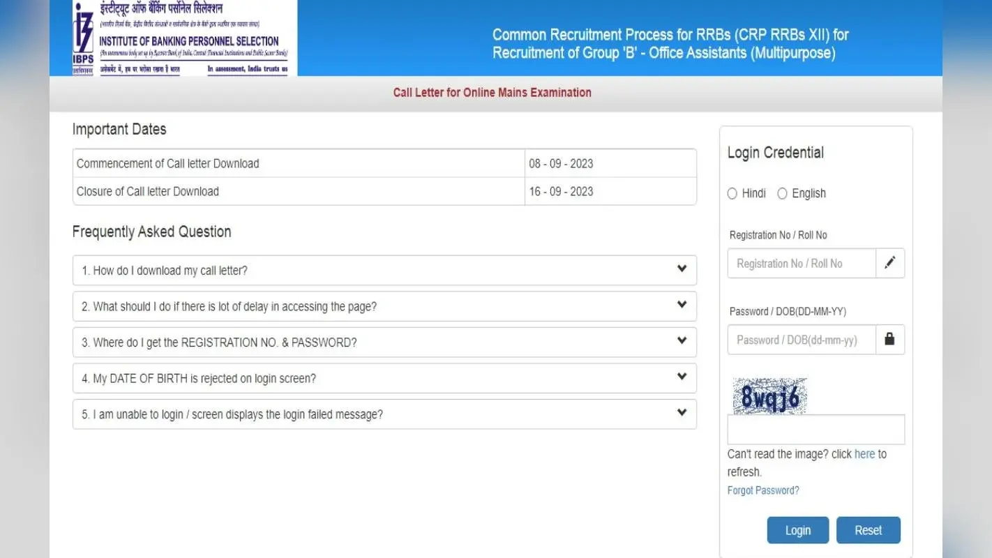 IBPS RRB Clerk Main Admit Card 2023: एडमटि कार्ड ibps.in पर जारी है, ऐसे करें डाउनलोड