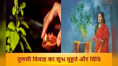Tulsi Vivah 2022 Puja Vidhi, Muhurat: तुलसी विवाह कब, जानें शुभ मुहूर्त और विवाह कराने की आसान विधि