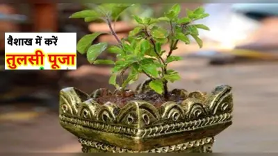 Vaishakh Month 2022: वैशाख के महीने में करें तुलसी पूजन, मिलती है सुख-समृद्धि