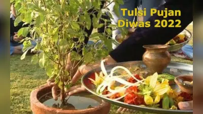 Tulsi Pujan Diwas 2022 Date: तुलसी पूजन दिवस कब है? इस दिन का महत्व, पूजा विधि जानें