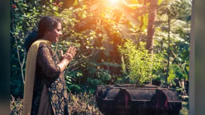 Tulsi Pujan Diwas 2022: तुलसी पूजा का क्या महत्व, जानें पूजा की विधि