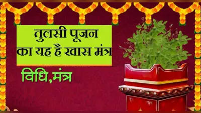 Tulsi Vivah 2021: कल है तुलसी-शालीग्राम विवाह, मिलेगा सुख-सौभाग्य