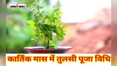 Kartik Maas 2022: कार्तिक में तुलसी का रोपण, दान और पूजन से होगा फायदा, जीवन के कष्ट हो जाएंगे दूर
