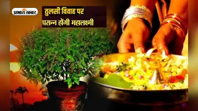 Tulsi Vivah 2022: तुलसी पूजा से प्रसन्न होती हैं मां लक्ष्मी, जरूर करें ये काम