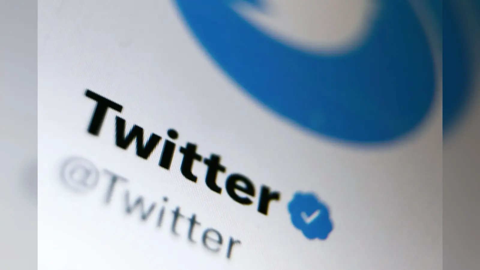 Twitter Blue: ट्विटर की पेड सर्विस आने के बाद फ्री वाले ब्लू टिक अकाउंट का क्या होगा?