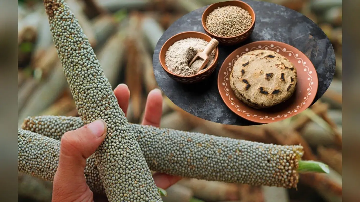 Benefits of Bajra: सर्दियों में अपने डाइट में शामिल करें बाजरा, ऐसे बनाएं बाजरे की रोटी, खिचड़ी और लड्डू