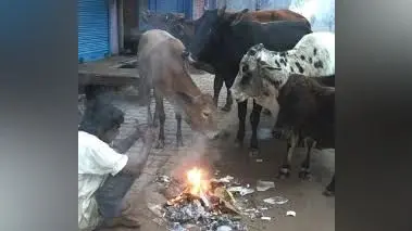 कोइलवर पुल : पांच जनवरी से सप्ताह में दो दिन उत्तरी लेन का यातायात रहेगा बंद, पुल का होगा मरम्मत कार्य