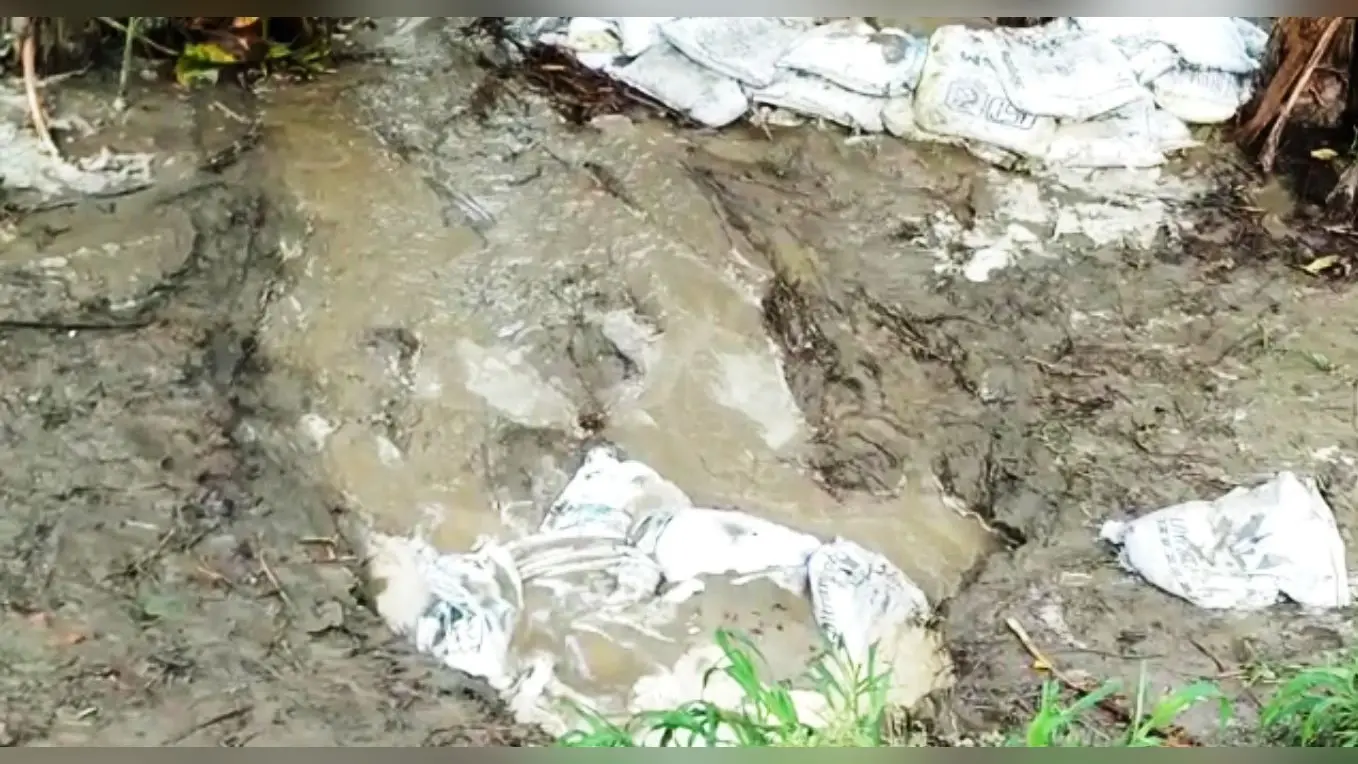 Flood in Bihar: सारण तटबंध पर रिसाव तेज, टूटने पर बंद हो जायेगा NH-28, तटबंध खाली करा रही पुलिस
