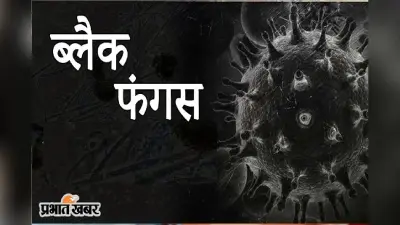 एंटी फंगल इंजेक्शन Amphotericin-B लगाने के बाद 70 से अधिक ब्लैक फंगस संक्रमितों की हालत बिगड़ी, एमपी का है मामला