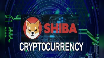 Cryptocurrency : 100 रुपये में 2 लाख क्रिप्टोकरेंसी, जानें कहां है मौका, निवेश कितना है सुरक्षित ?