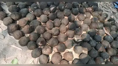 Ration Card News : राशन कार्ड बनाने में लापरवाही ! अब इन पंचायत सचिवों पर होगी कार्रवाई, देखें लिस्ट