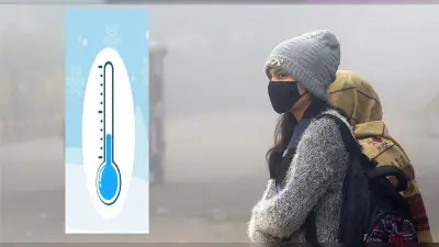 Bird Flu News 2021 : दिल्ली में खुले पॉल्ट्री मार्केट,सरकार ने कहा इन बातों का रखें ध्यान