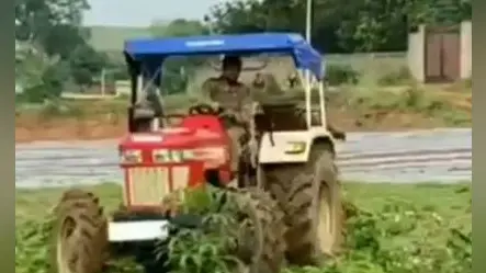 खेती-बारी में नयी तकनीक से कमाल कर रहे झारखंड के किसान, क्रिकेटर धौनी भी आजमा रहे हैं हाथ